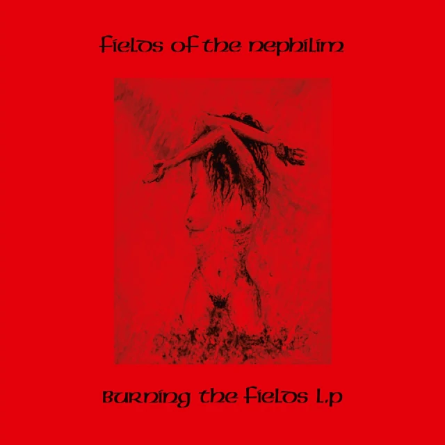 Burning The Fields (2LP Red Vinyl) RSD'24