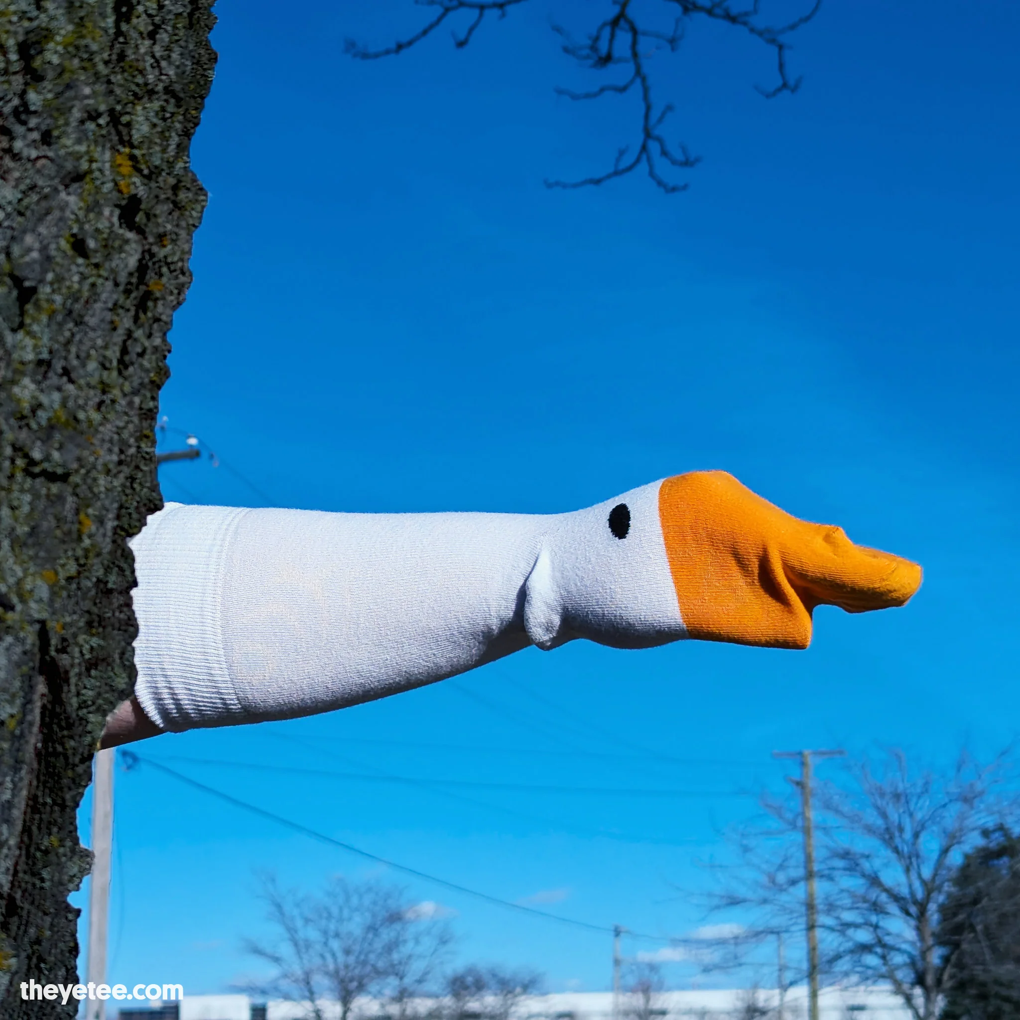Goose Socks - Image 2
