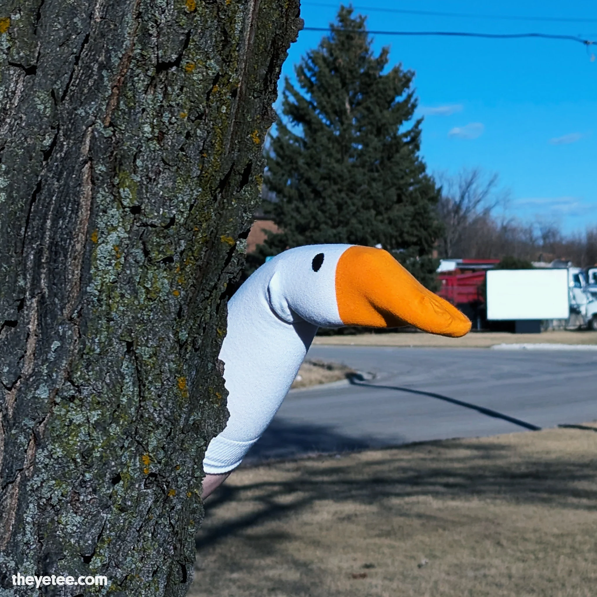 Goose Socks - Image 3